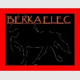 berka-elec.com