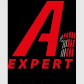 A1 EXPERT