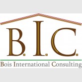 BOIS INTERNATIONAL CONSULTING