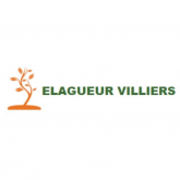 Elagage Villiers Elagueur Bois-le-Roi 77