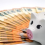 Offre de financement et subvention non ...