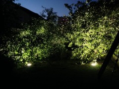 Eclairage Jardin