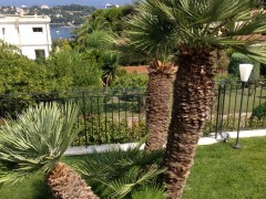 Villa sur Nice Mont-Boron
