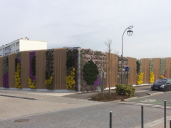 Le mur végétalisé tient ses promesses