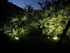 Eclairage Jardin