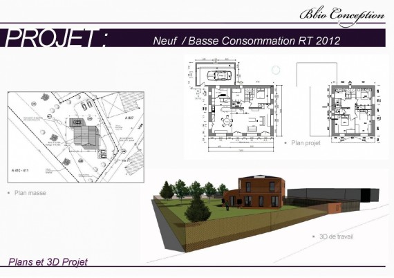 Neuf / Bois Paille