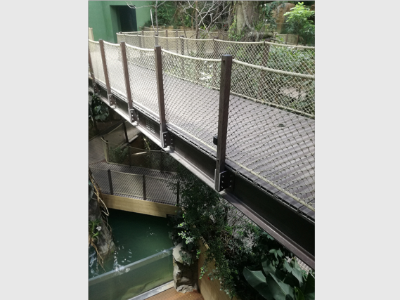 Chemin d'accès de la forêt tropicale de l'aquarium-vivarium AQUATIS
