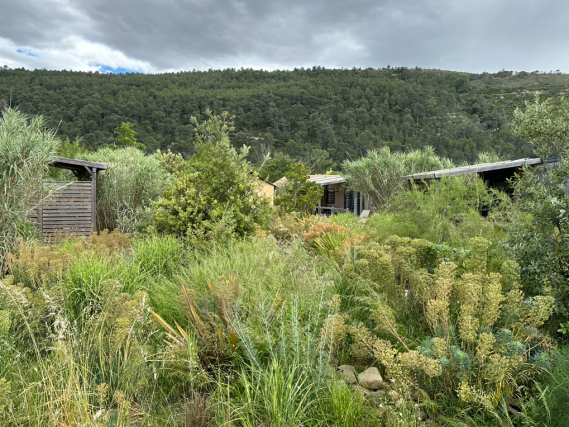 Un jardin naturel en zone sèche - après